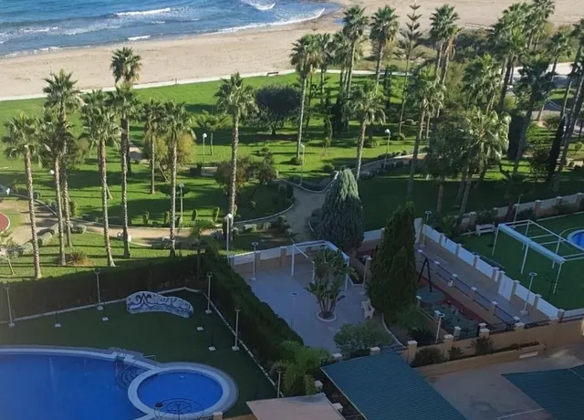 Communal pool and gardens