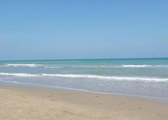 Beach next to the apartment