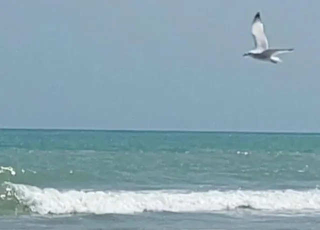 The Mediterranean nearby