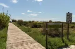 Pasarela y entorno natural cercano
